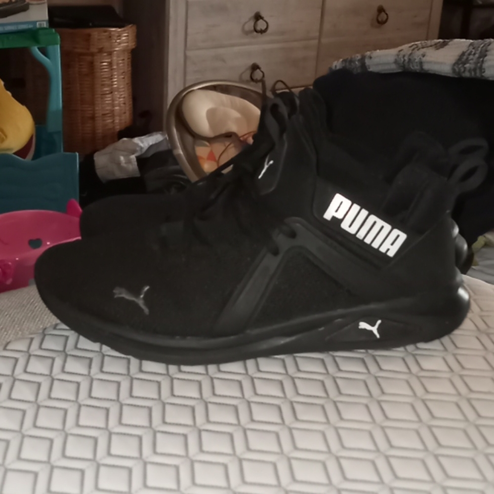 Puma